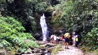 preview picture of video 'PLACES TO VISIT IN BRAZIL: Cachoeira São José em Boa Esperança Lumiar, RJ'
