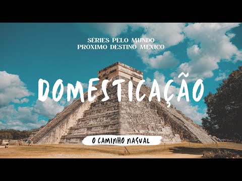 DOMESTICAÇÃO - EP.04 SÉRIE O CAMINHO NAGUAL