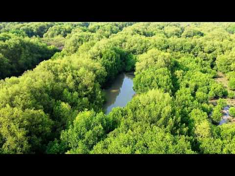 4K Natural Beauty Documentary "Beauty Washington"/Autumn Natural scenery-Episode In 4k