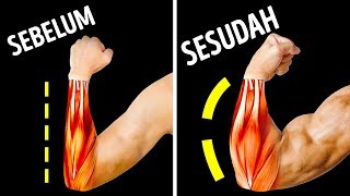 Download lagu Hanya Perlu 14 Latihan Membangun Otot Lengan Bawah mp3 Download lagu Hanya Perlu 14 Latihan Membangun Otot Lengan Bawah mp3