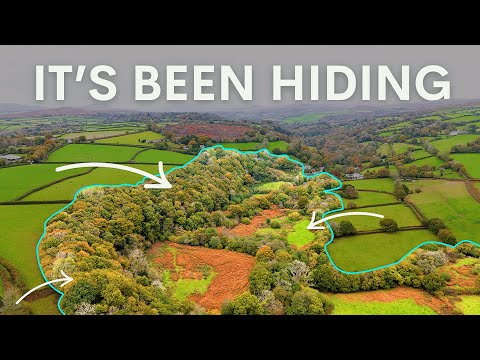 The 35 Year Rewilding Project You've Never Heard Of