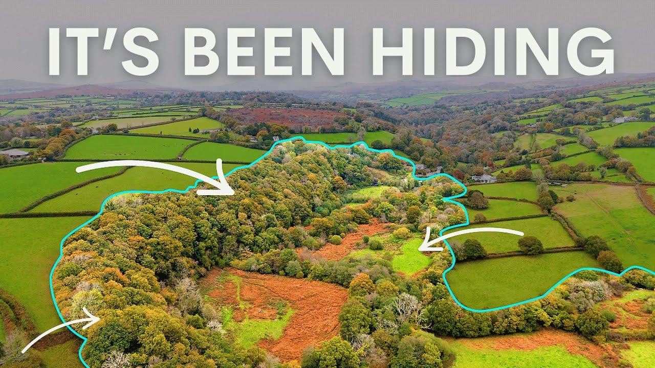 The 35 Year Rewilding Project You've Never Heard of