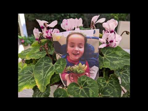 'ADI Bechinuch' Tu B'Shvat Feature: Green Therapy Virtual Tour