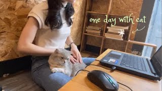 Vlog| Just one day of my life with cat 🐈