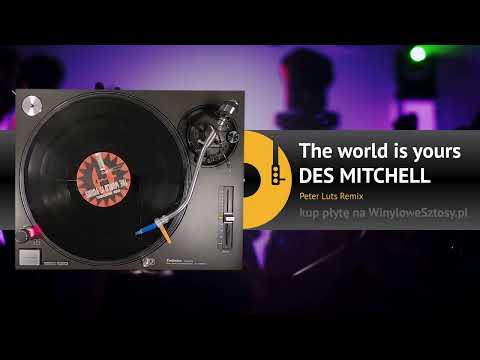 DES MITCHELL - The world is yours (Peter Luts Remix)