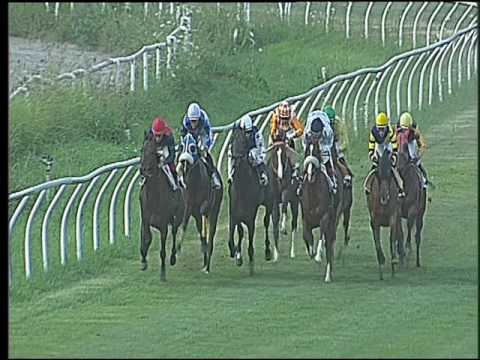 Galoppo 20/07/2016 - 4° corsa