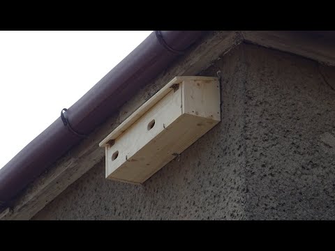 Jak zrobić budkę dla jerzyków