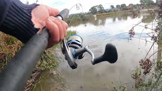 Fishing and Hunting Carp