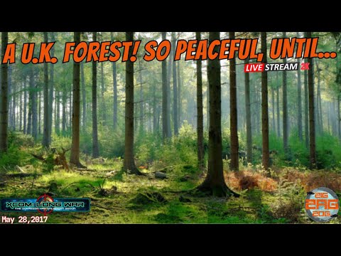 "A U.K. Forest Is So Serene, Until A Crashed Destroyer Drops In!!"    XCOM Long War Impossible