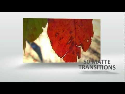 Matte Transitions 50 Pack