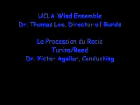 La Procession du Rocio