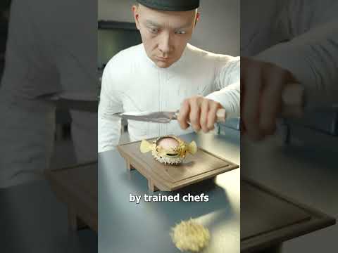 Can You Eat A Pufferfish? 😨