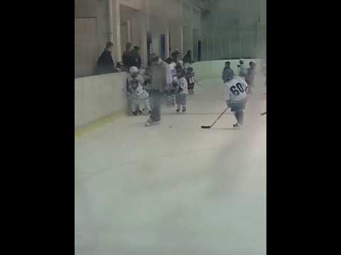 Karhu-kissat--Kjt G09