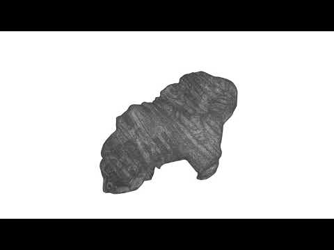 Wood sculpture digitalised through photogrammetry, 2