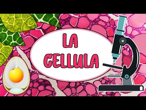 🦠 LA CELLULA - Videolezione di Scienze per la Scuola Primaria 🔬👩🏻‍🔬