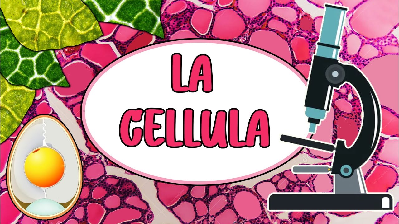 🦠 LA CELLULA - Videolezione di Scienze per la Scuola Primaria 🔬👩🏻‍🔬