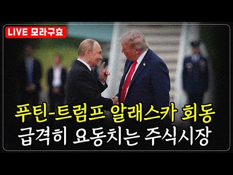 트럼프-푸틴 회담과 글로벌 금융시장 변화