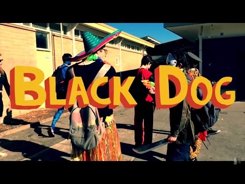 Black Dog (2017 Official Trailer #2)