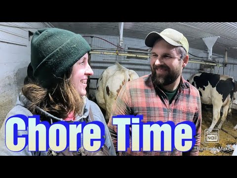 Mixing Feed and Milking Cows on Our Small Family Dairy Farm
