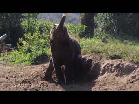 download lagu mp3 mp4 Cool Asia, download mp3 Cool Asia free download, download mp3 Cool Asia