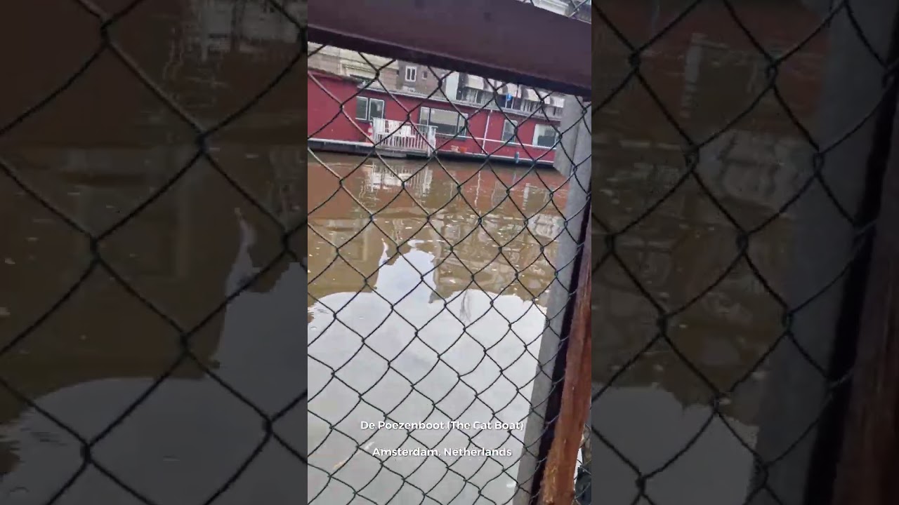 YouTube Short thumbnail