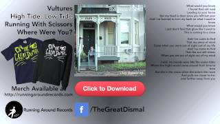 High Tide, Low Tide - The Great Dismal - The Clay Manor EP - Video LP
