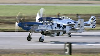 P-51 Mustangs - Merlins and Loops!