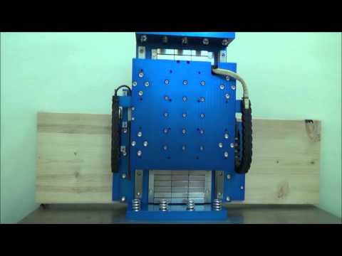 Dual Rail Stage - DRS-004-15-200-01-MZ