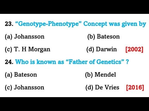 Genetics challenge worksheet answers
