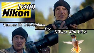 Lets compare lenses on the Nikon D800 shooting hummingbirds