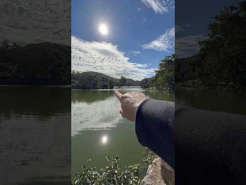Lago Javary! Miguel Pereira! Rio De Janeiro! Brasil!