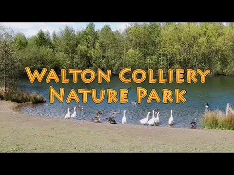 Walton Colliery Nature Park Recut 2021