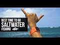 best time to go saltwater fishing