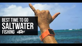 Download lagu waktu terbaik untuk memancing di air asin mp3 Download lagu waktu terbaik untuk memancing di air asin mp3