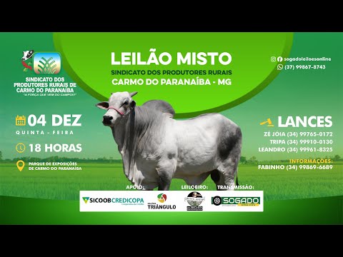 LEILÃO MISTO - SINDICATO DOS PRODUTORES RURAIS DE CARMO DO PARANAÍBA/MG - 04/12/2025