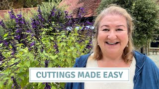 How to Get FREE Plants | Cuttings That Work! // Cottoverdi