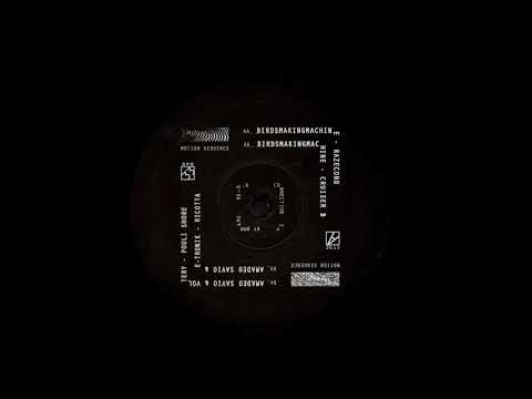 A1. Birdsmakingmachine - Razecond [MS0.6]