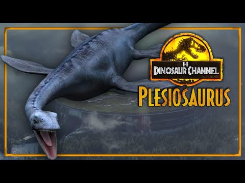 What Was The Plesiosaurus? - The Dinosaur Channel