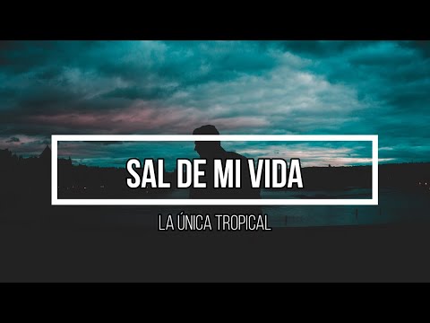 🥹 Sal de mi vida 🥹 // Letra // La Única Tropical