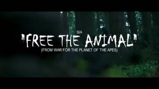Sia - Free The Animal (Official Video)