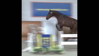 Video of Chaudfontaine Jl Z