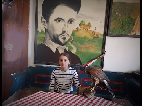 FÉlelmiszerek😰  - magántulajdon és identitás (Harmónia tanya, 2023.💚)