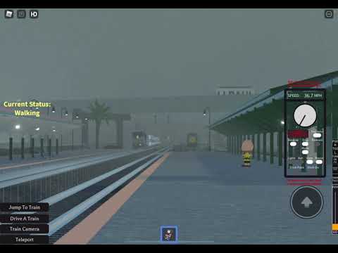 Amtrak 503 at Ft. Lauderdale, Florida