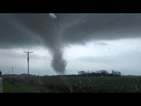 Video footage shows tornado destroying building in Illinois, U S