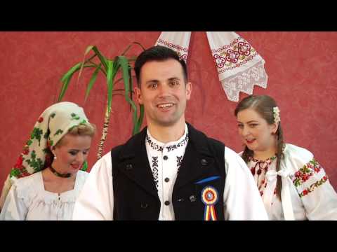 Ionut Suciu - Stau mandrutele la sfat