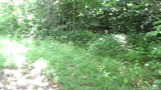 preview picture of video '360° view at state tripoint North Carolina - Tennessee - Virginia'