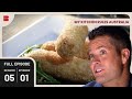 Cheese Lovers Dream Menu My Kitchen Rules Australia Cooking Show