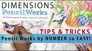 Pencil Coloring! Tips & tricks 🎨DIMENSIONS by numbers
