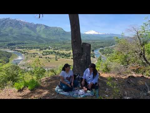 Entrevista