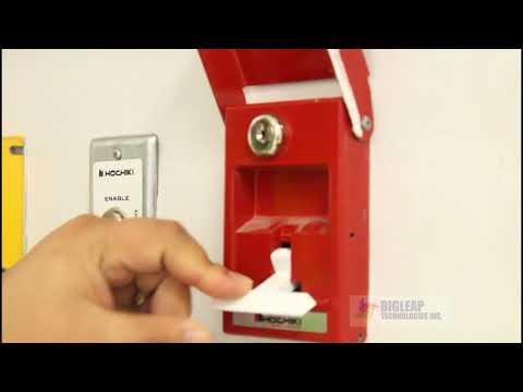 SIEX Inert Gas   BIGLEAP TECHNOLOGIES INC